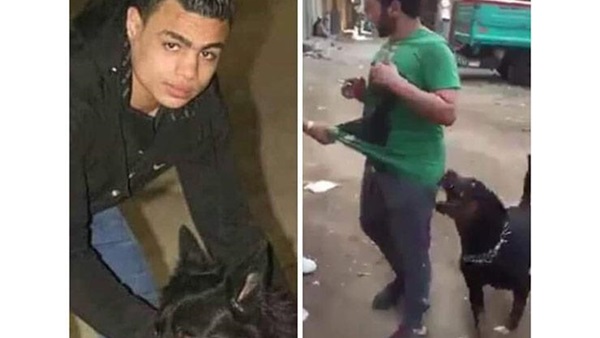 المتهم والمجني عليه