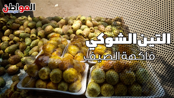 المواطن