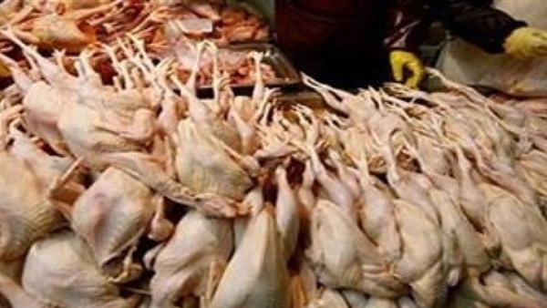 لحوم دواجن غير صالحة