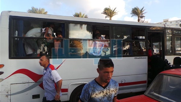 المواطن