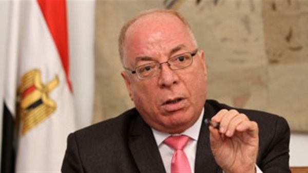 وزير الثقافة حلمي