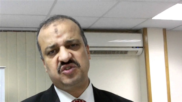 محمد البلتاجى