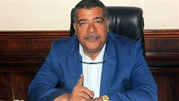 النائب معتز محمود
