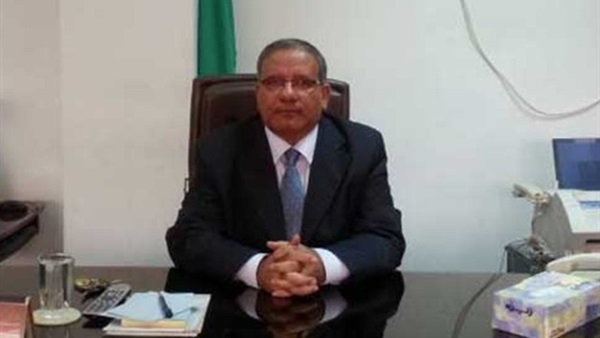 حمدي السيسي