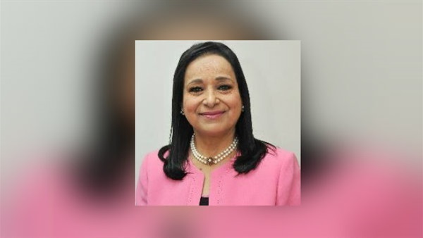 النائبة أنيسة عصام
