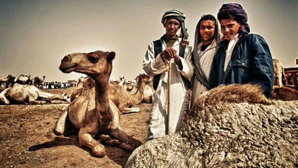 المواطن