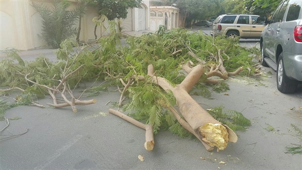 صورة تعبيرية