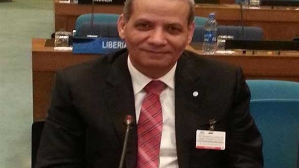 الدكتور الهلالي الشربيني