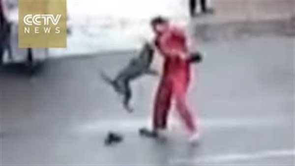 المواطن