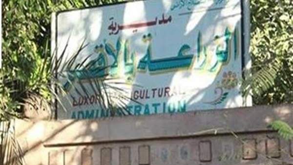 وزارة الزراعة بالأقصر