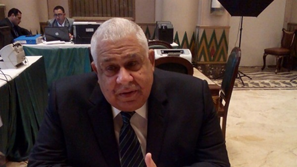 النائب همام العادلى