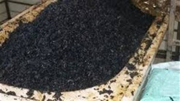 شاي مغشوش