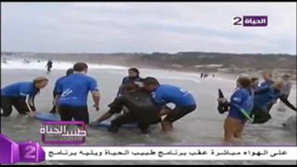 المواطن