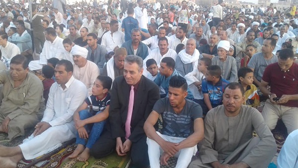 رئيس مدينة طامية