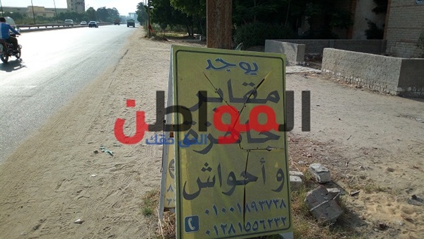 مافيا المقابر بالبحيرة