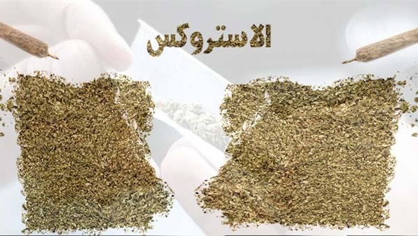 الأستروكس