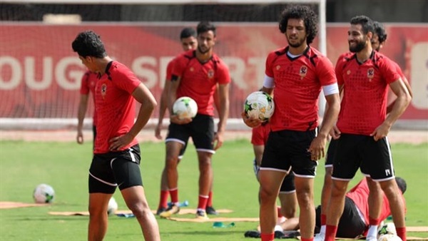 عمرو السولية