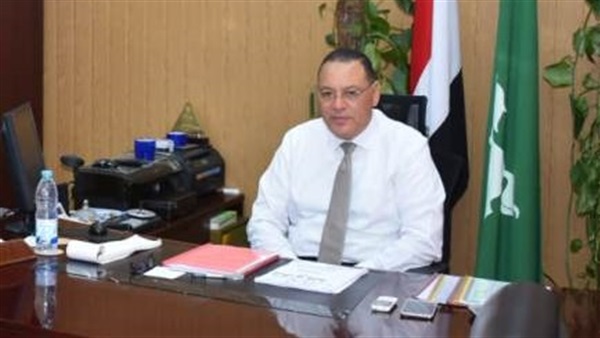محافظ الشرقية