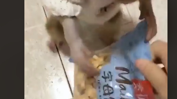 المواطن