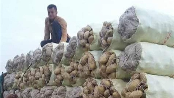 شباب بني سويف