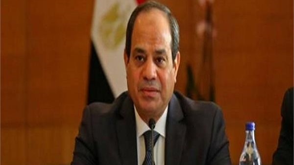 الرئيس السيسى والشركات