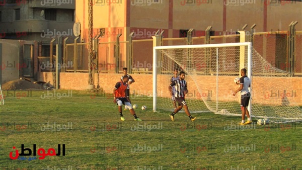 المواطن