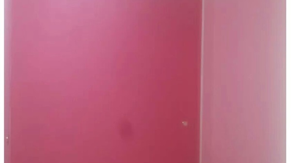 أسعار إيجار الشقق
