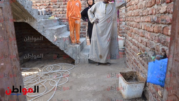 المواطن
