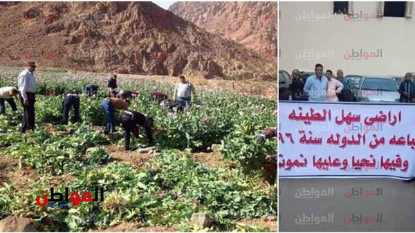 مزادات أراضى سهل
