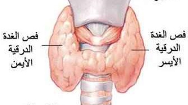 الغدة الدرقية
