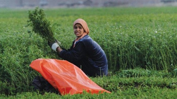 الفلاحة المصرية