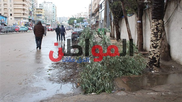 عاصفة رملية-الاسكندرية