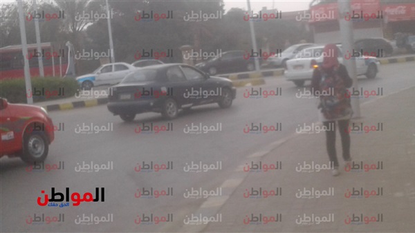 المواطن