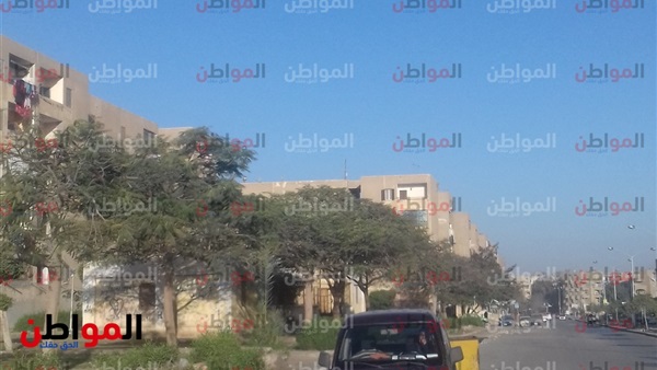 المواطن