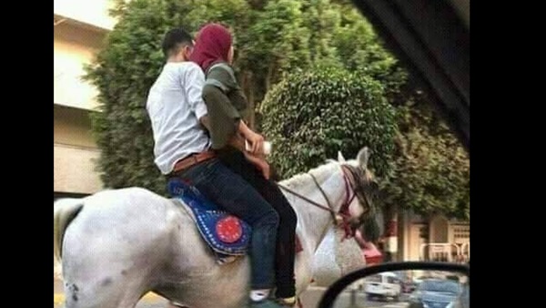 على الحصان الأبيض