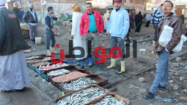 مزلقانات الموت بالإسكندرية