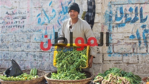 حكاية صعيدي في الإسكندرية