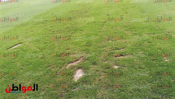 أرضية استاد بتروسبورت