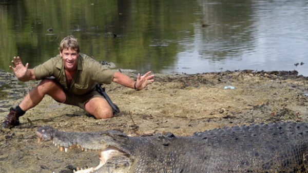 steve irwin