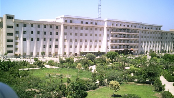 جامعة بني سويف