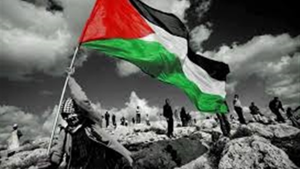 المواطن