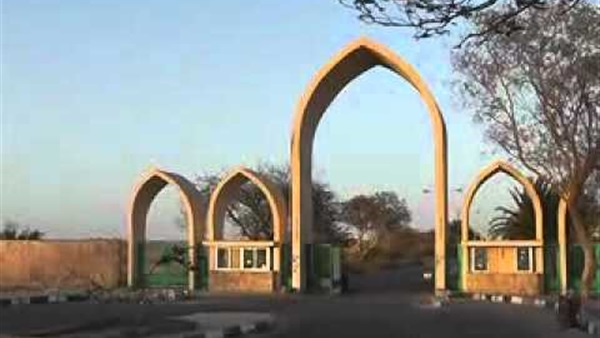 جامعة أسوان