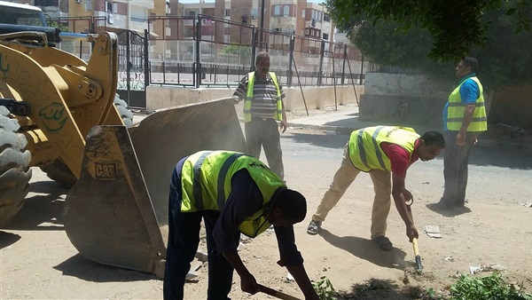 المواطن
