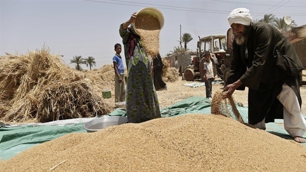 صورة ارشفية