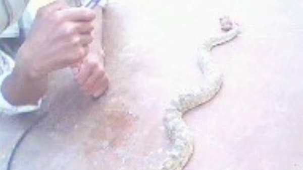 المواطن