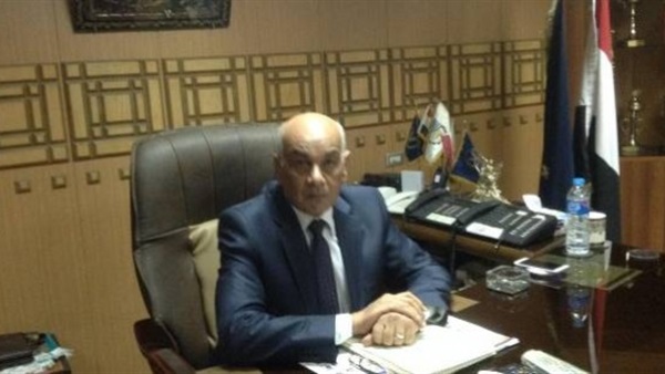 إصابة نجلة مدير أمن