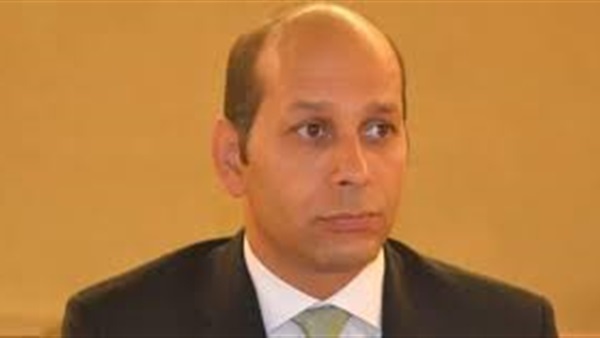 أيمن نصري