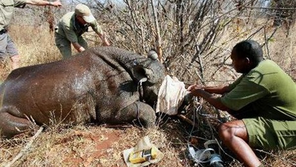 قتل صياد بسبب وحيد