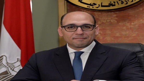 المستشار أحمد حافظ