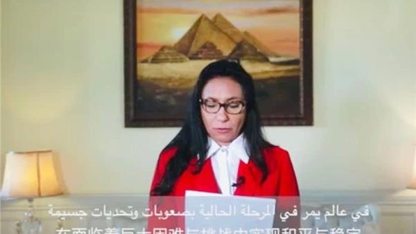 القائم بأعمال سفارة